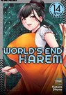 World's End Harem Vol. 14 - After World - Link - 9781638588672