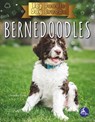 Bernedoodles - Christina Earley - 9781638971993