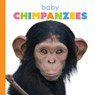Baby Chimpanzees - Meg Greve - 9781640264199