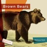 Brown Bears - Melissa Gish - 9781640267756