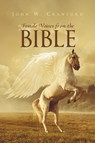 Female Voices from the Bible - John W Crawford - 9781640792302