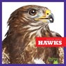 Hawks - Jenna Lee Gleisner - 9781641288224