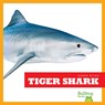 Tiger Shark - Jenna Lee Gleisner - 9781641289672