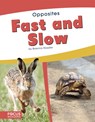 Opposites: Fast and Slow - Brienna Rossiter - 9781641854030