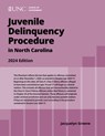 Juvenile Delinquency Procedure in North Carolina: 2024 Edition - Jacquelyn Greene - 9781642381061
