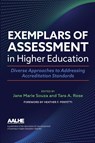 Exemplars of Assessment in Higher Education - Jane Marie Souza ; Tara A. Rose - 9781642672497