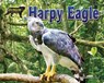 Harpy Eagle - Ellen Lawrence - 9781642808490