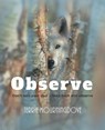 Observe - MOURNINGDOVE,  Terrie - 9781643454986