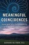 Meaningful Coincidences - Bernard Beitman - 9781644115701