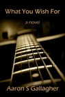 What You Wish For - Aaron S Gallagher - 9781644563922