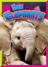 Baby Elephants - Justin Eric Russell - 9781644660003