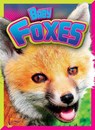 Baby Foxes - CASWELL,  Deanna - 9781644660010