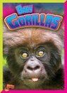 Baby Gorillas - Justin Eric Russell - 9781644660027