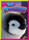 Baby Penguins - CASWELL,  Deanna - 9781644660034