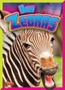 Baby Zebras - CASWELL,  Deanna - 9781644660072