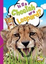 Is It a Cheetah or a Leopard? - TERP,  Gail - 9781644660539