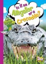 Is It an Alligator or a Crocodile? - TERP,  Gail - 9781644660560