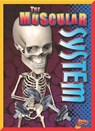 The Muscular System - LOWELL,  Barbara - 9781644662366