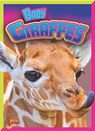 Baby Giraffes - CASWELL,  Deanna - 9781644662403