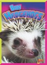 Baby Hedgehogs - CASWELL,  Deanna - 9781644662427