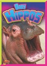 Baby Hippos - CASWELL,  Deanna - 9781644662434