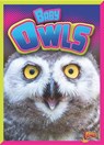 Baby Owls - CASWELL,  Deanna - 9781644662458