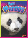 Baby Pandas - Deanna Caswell - 9781644662465