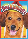 Dachshunds - HOGAN,  Christa C. - 9781644662489