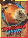 Thoroughbred Horses - Elizabeth Noll - 9781644662656