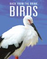 Birds: Back from the Brink - Joanne Mattern - 9781644668290