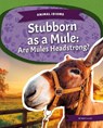 Animal Idioms: Stubborn as a Mule: Are Mules Headstrong? - Matt Lilley - 9781644946510