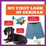 My First Look At German - Jenna Lee Gleisner - 9781645273059