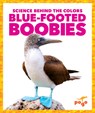 Blue-Footed Boobies - Alicia Z. Klepeis - 9781645275756