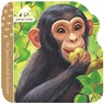 Chimpanzee - Jaye Garnett - 9781646380732