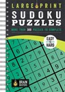 Large Print Sudoku Puzzles Green: More Than 300 Puzzles to Complete - Parragon Books - 9781646385010