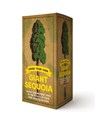 Grow Your Own Giant Sequoia Kit - Mill press Cider - 9781646430758