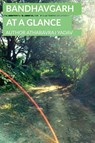 Bandhavgarh at a Glance - Atharavraj Yadav - 9781646783175