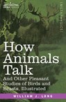 How Animals Talk - William J. Long - 9781646794034