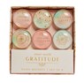 Gratitude: Glass Magnet Set (Set of 6) -  - 9781647221874