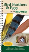 Bird Feathers & Eggs of the Midwest - Stan Tekiela - 9781647555061
