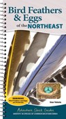 Bird Feathers & Eggs of the Northeast - Stan Tekiela - 9781647555337