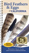 Bird Feathers & Eggs of California - Stephanie Panlasigui - 9781647556631