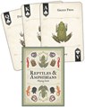 Reptiles & Amphibians Playing Cards -  - 9781647556792
