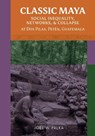 Classic Maya Social Inequality, Networks, and Collapse at Dos Pilas, Peten, Guatemala - Joel W. Palka - 9781647692674
