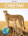 Cheetah - Tyler Grady - 9781647902261