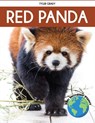 Red Panda - Tyler Grady - 9781647904128
