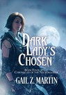 Martin, G: Dark Lady's Chosen - Gail Z Martin - 9781647950651