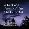 A Dark and Stormy Night: The Little Owl - BERNA,  Cristina - 9781648260193