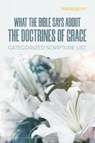 What The Bible Says About The Doctrines Of Grace - Monergism Books - 9781648631214