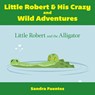 Little Robert & His Crazy and Wild Adventures - Sandra Fuentes - 9781649901415